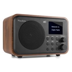 RADIO DAB+ WOOD MET ACCU