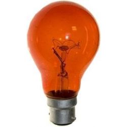 SCHIJNVUURLAMP/HAARDVUURLAMP 60W B22D ROOD TRANSPARANT